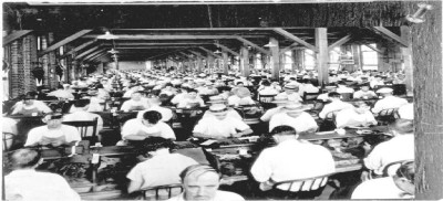 Employees hand rolling cigars in a cigar factory: Ybor City, Florida